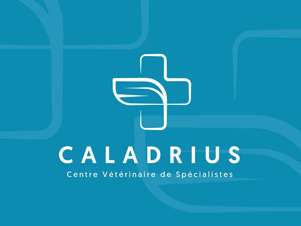 logo bleu vétérinaire centre de spécialiste caladrius belgique