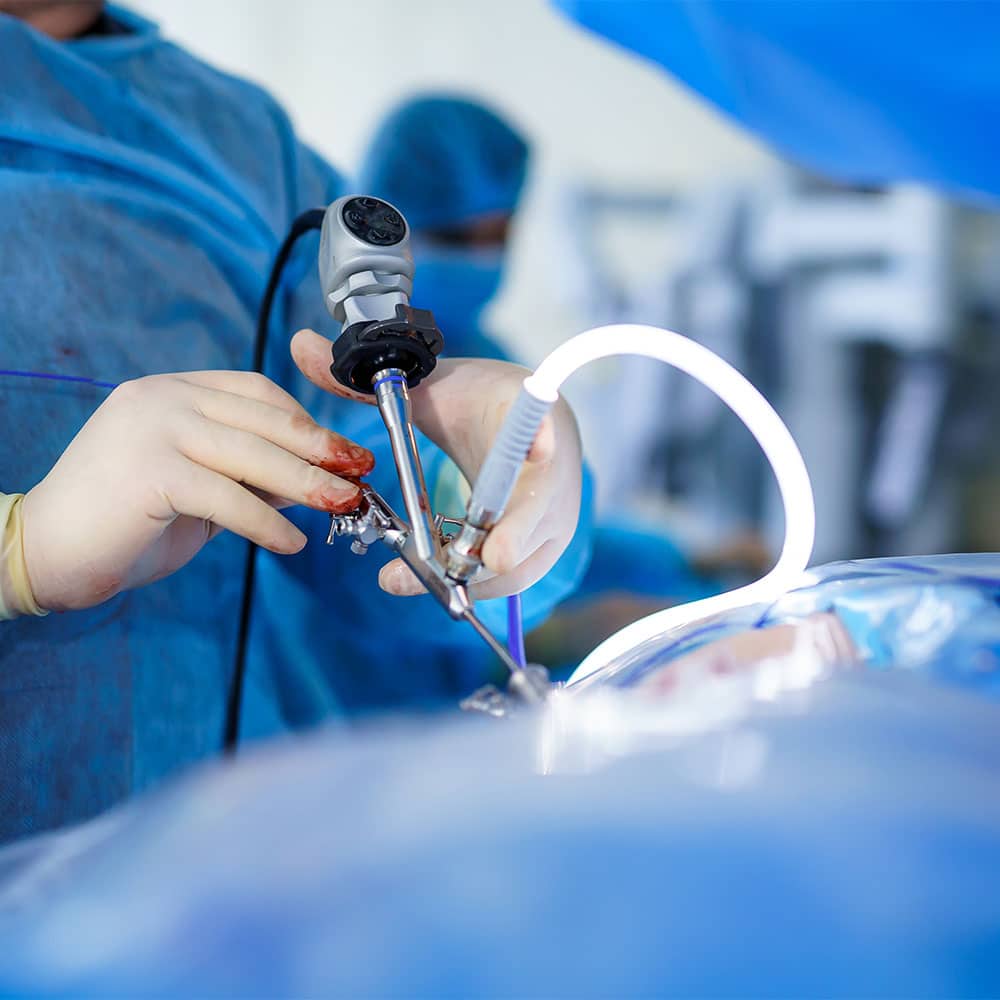 endoscopie vétérinaire centre de spécialiste caladrius belgique