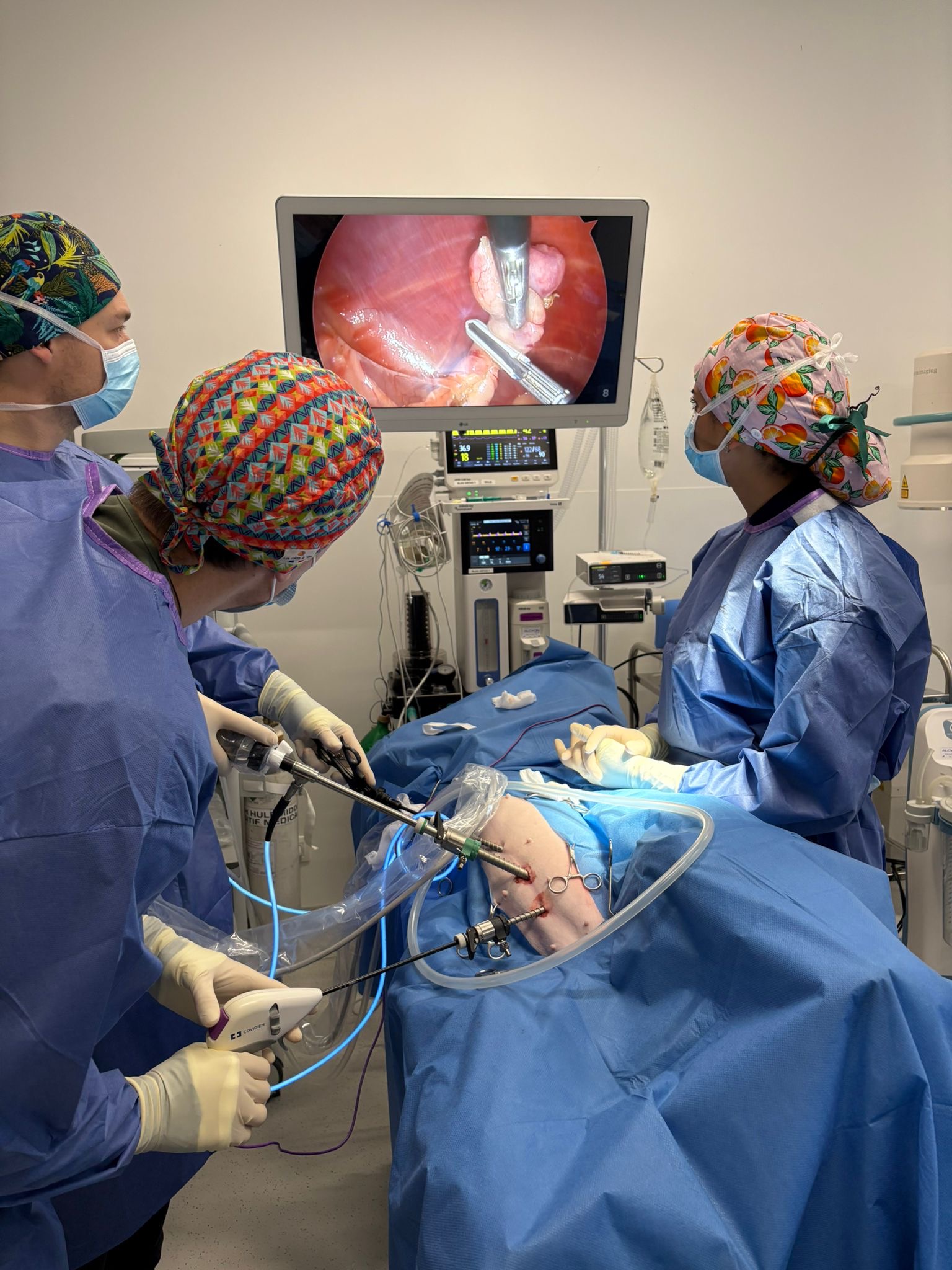 Photo-chirurgie-intervention-coelioscopie-vWD-chien